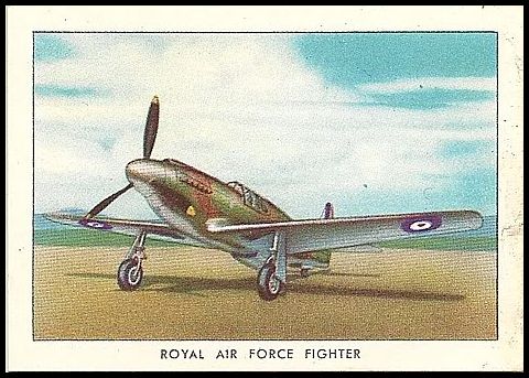 46 Royal Air Force Fighter